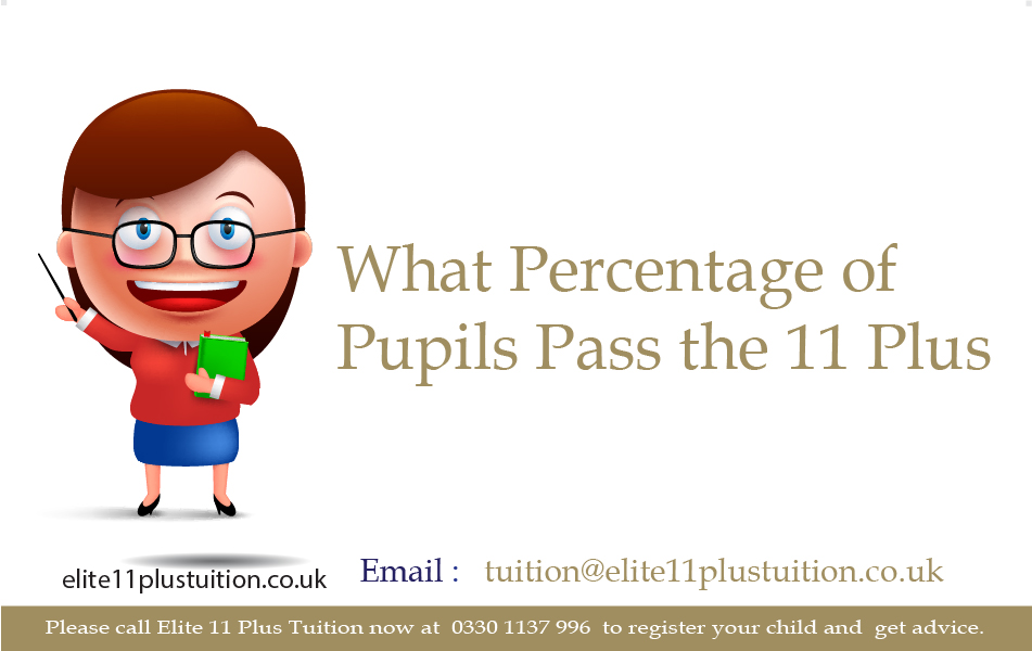 What Percentage of Pupils Pass the 11 Plus